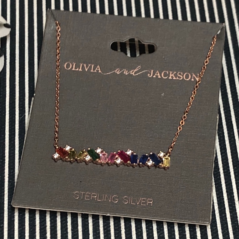 Olivia and Jackson Rosegold Necklace with colors